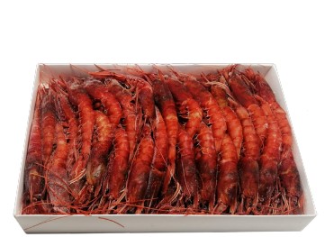 Gambero Rosso I 1Kg (15/22) Imperatore Premium