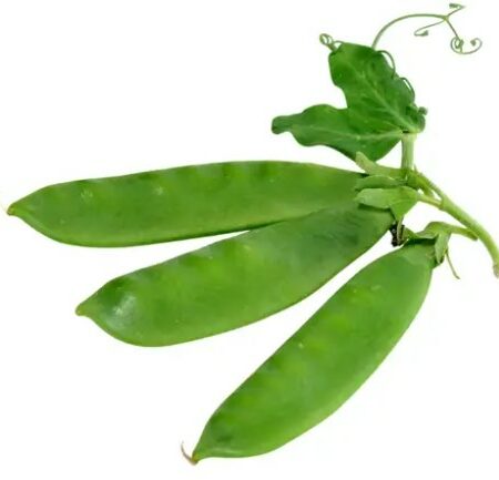 Taccole Mini V. Gr 250 X 12