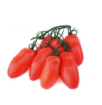 Pomodori Perette Mature