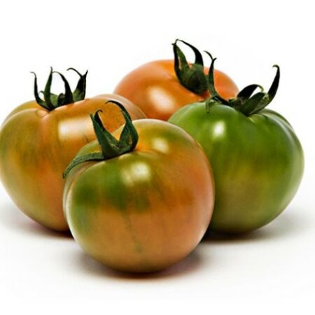 Pomodoro Camone Extra