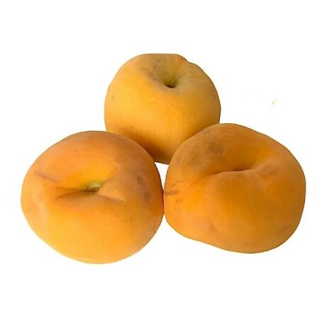 Pesche Percocche