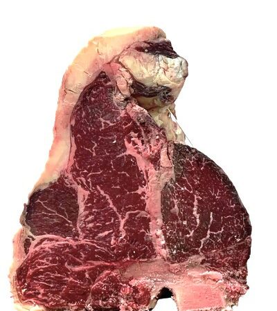 Lombata 8C Scottona Norland Danish Crown