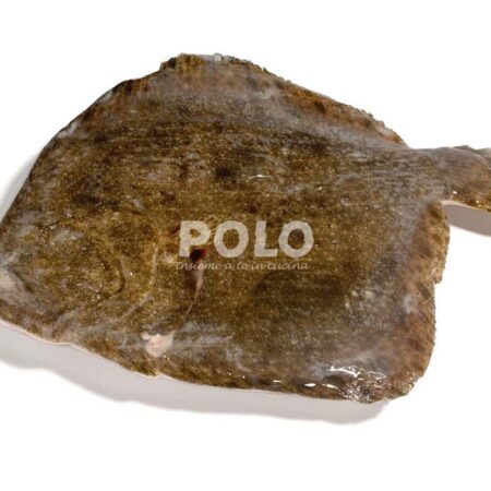 Rombo Chiodato 500/1000 Gr Olanda