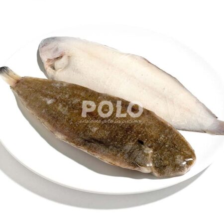 Sogliola Dover N 3 Nl