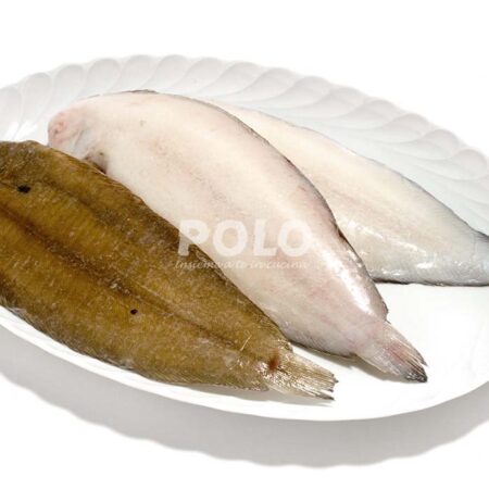 Sogliola Dover N 4 Nl