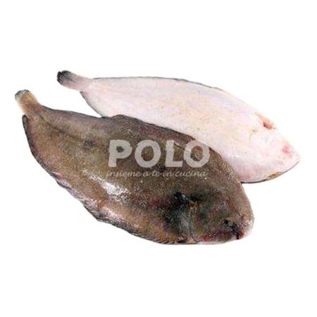 Sogliola Grossa 5 Pz/Kg Italia