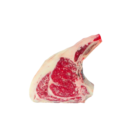 Lombata 8C Scottona Razza Chianina Ccbi S.Nicolo'