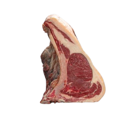 Lombata 8C Vacca 22+ Luisitana Portogallo