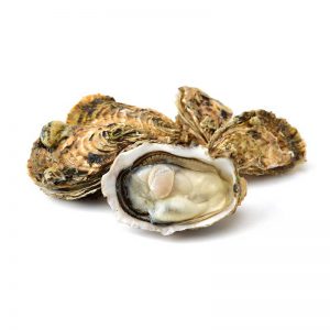 Ostriche  Kys conf da 1 kg