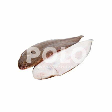 Sogliola Nostrana Premium