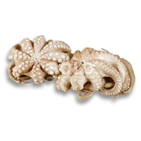 Polpo 500/1000 Gr Indonesia