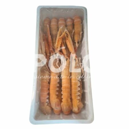 Scampo 20/30Pz/Kg Scozia