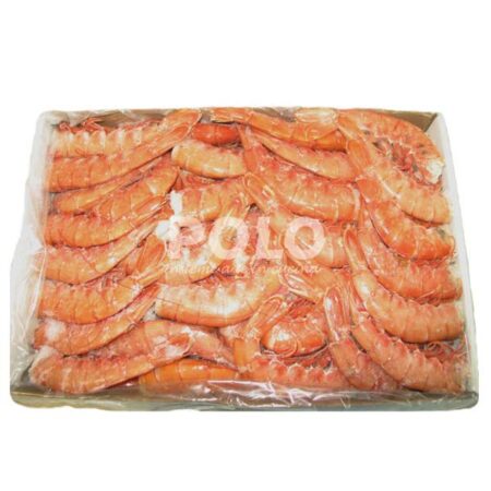 Gambero Coda C/G Arg C1 C.Bordo