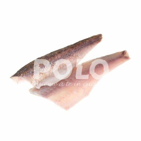 Filetto Orata C/P 120/160 Gr Extra
