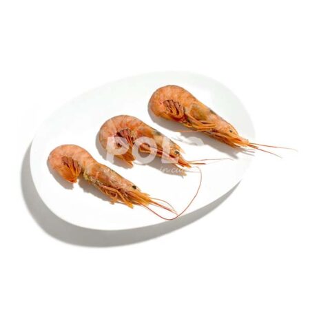 Gambero L2 20/30 Pz/Kg C/Bordo