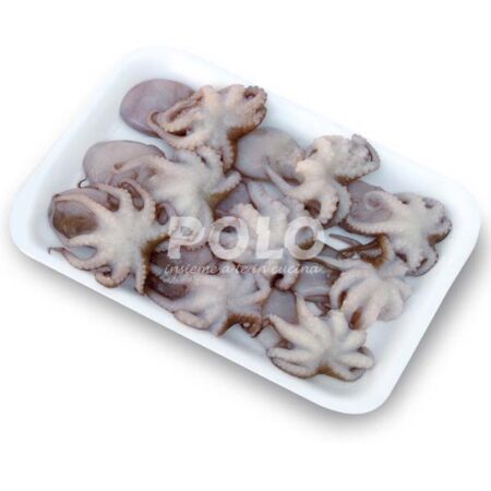 Moscardino 6 Kg Tunisia Blk