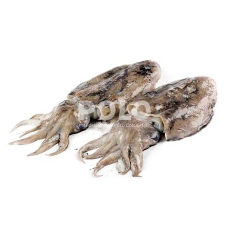 Seppia Nera Burchio Italia