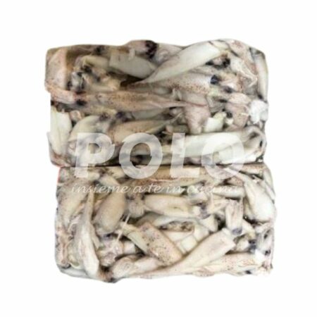 Calamaretto (Spillo) Marocco