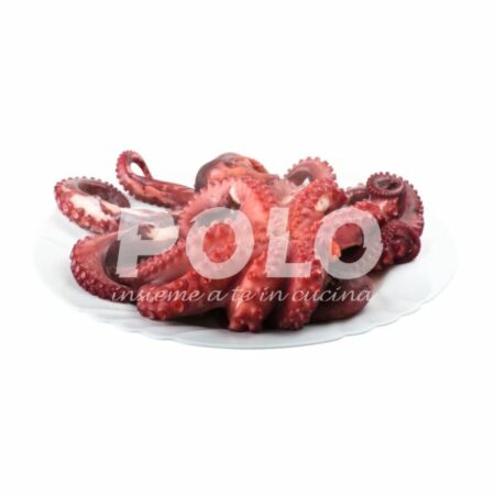 Polpo Cotto 800/1200 Gr Iwp Indonesia