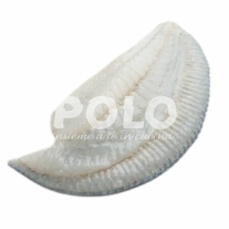 Filetto Rombo 200+ C/P Cassa Spagna