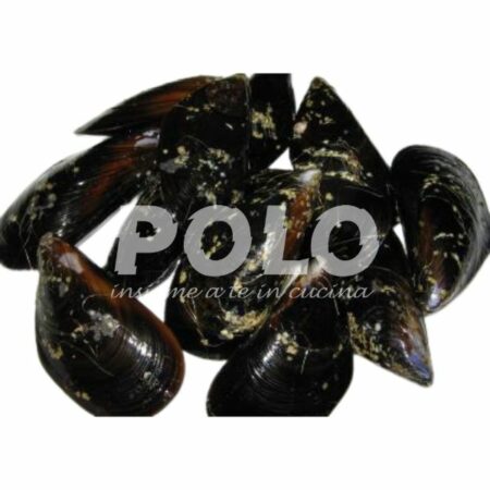 Cozza C/G Spazzolata Italia