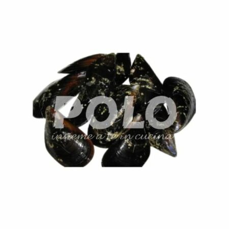 Cozza C/G Spazzolata Spagna