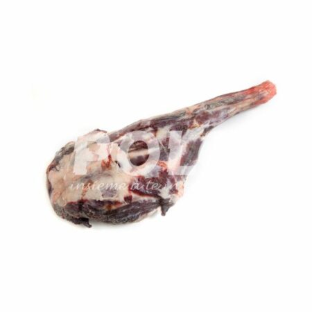 Coscia Di Cinghiale S/O