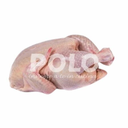 Pollo A Busto Halal 800 Gr