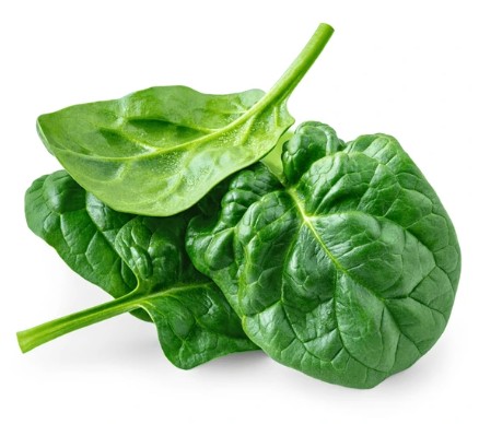 Spinaci