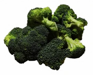 Broccoletti Rosette 4 Gamma