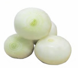 Cipolle Bionde Pelate Intere 4 Gamma