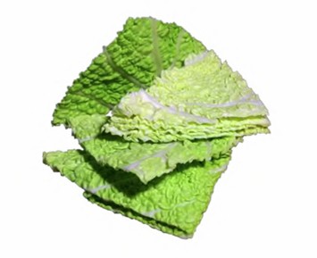 Verze A Pezzi 4 Gamma