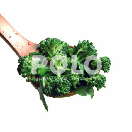 Mugnuli Selvatici Di Campo