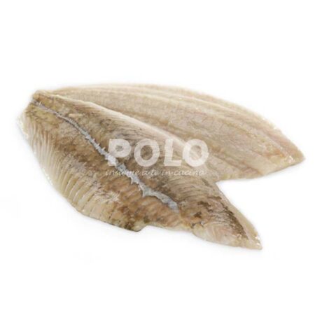 Filetti Passera S/P 200/400 Gr