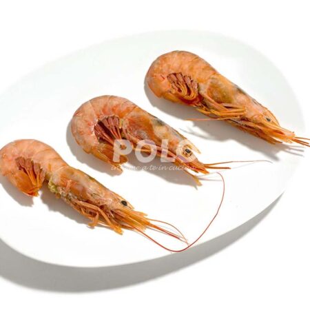 Gambero L2 20/30 Pz/Kg C/Bordo Riservato