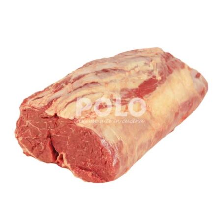 Cuberoll Uruguay Bovino