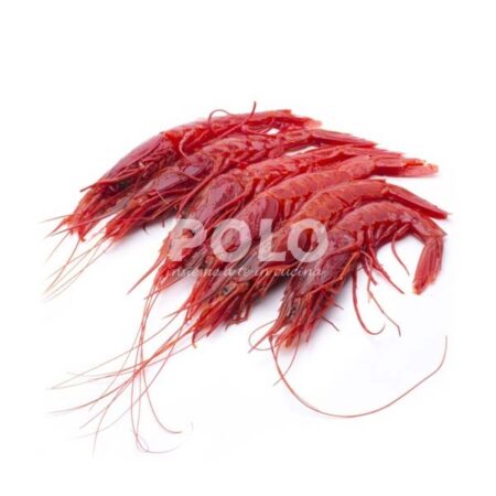 Gambero Rossi Mozambico L 31/40
