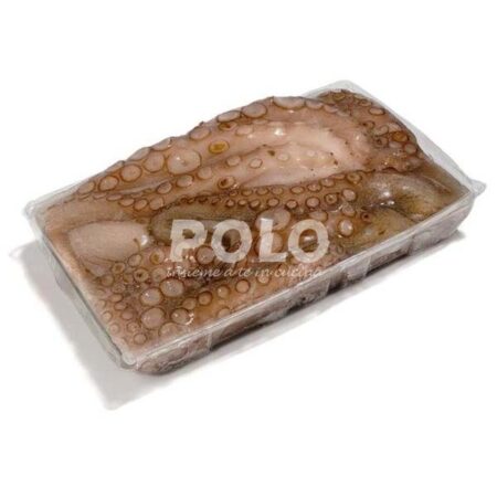Polpo 2000/3000 Gr Vaschetta 1Pz