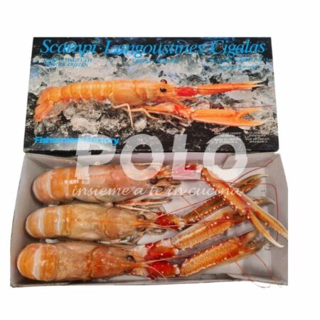 Scampo 1/3Pz/Kg Fishermens C/Bordo
