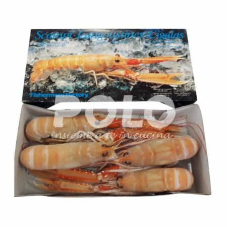 Scampo 2/4Pz/Kg Fishermens C/Bordo