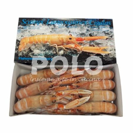 Scampo 4/7Pz/Kg Fishermens C/Bordo