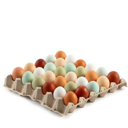 Uova "The Garda Egg" (Colorate) Conf.X12